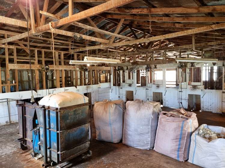 3779 Whanganui River Road (State Highway 43) Ruapehu-King Country Surrounds_21