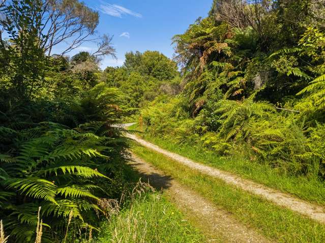 South Terrace Road Karamea_3