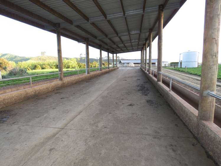 107 Le Heron Road Te Hoe_5