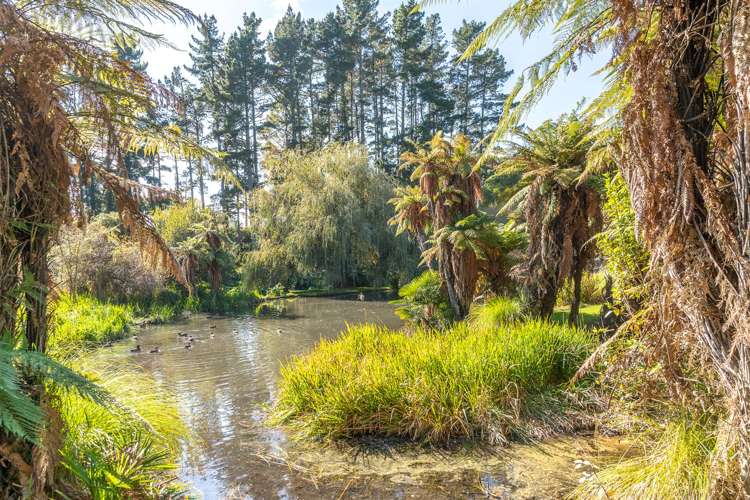 13 Willow Brook Lane Te Kowhai_26