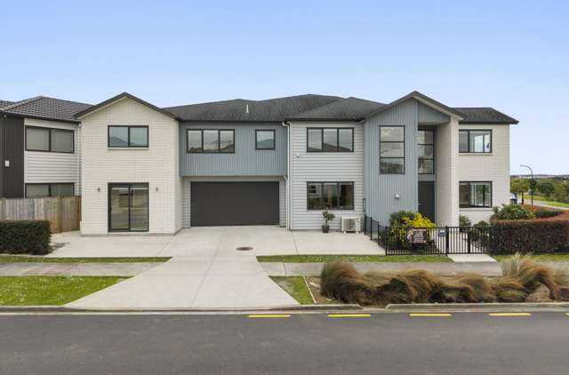 1 Repehina Road Flat Bush_2