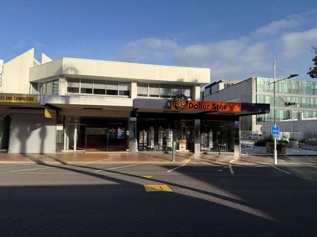 89 Grey Street Tauranga_1
