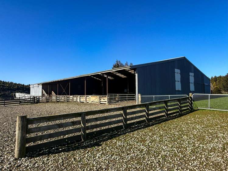 125B Davidson Road Mimihau_11