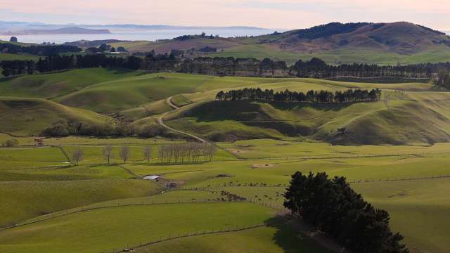 137 McLeods Road Palmerston_4