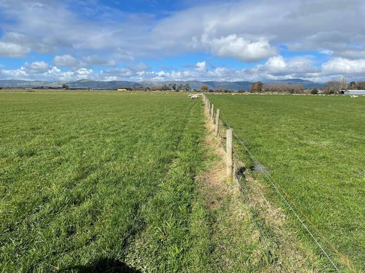 279 Karere Road Tiakitahuna_11