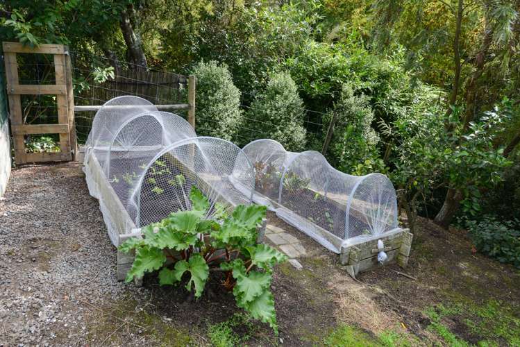 1 Matthew Street Waipawa_25