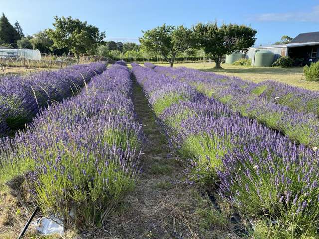 11 Mount Heslington Road Brightwater_2