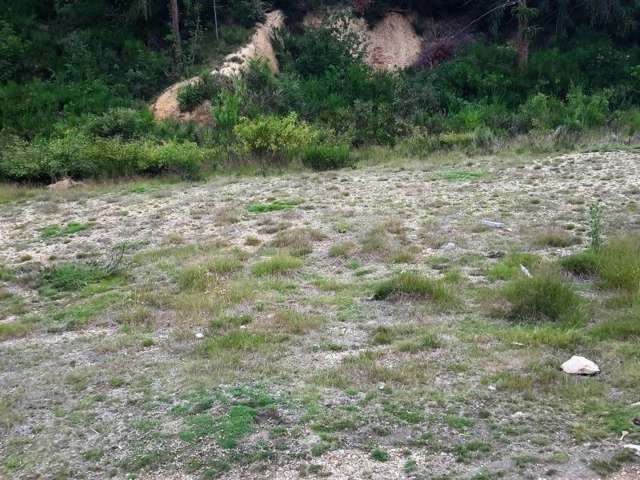 5 Hogburn Lane Naseby_2