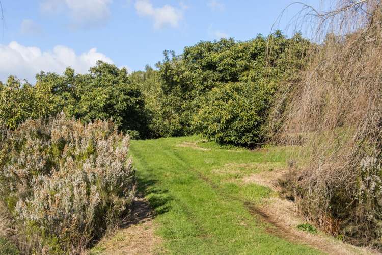 275 Athenree Road Katikati_8