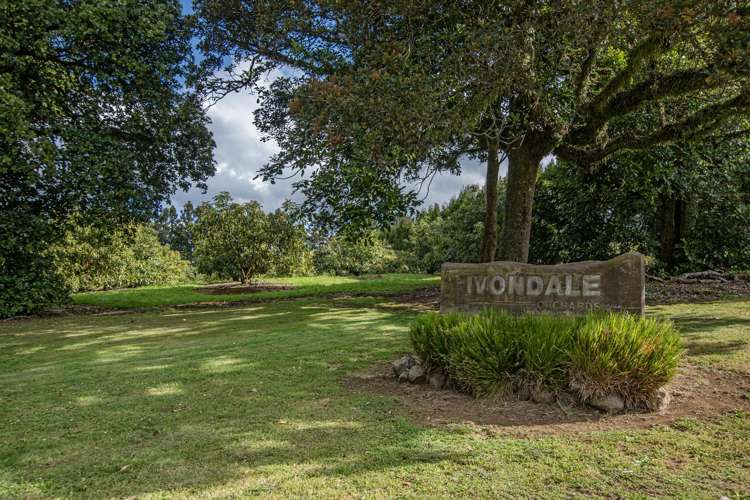 131 Tatton Road Maungatapere_3