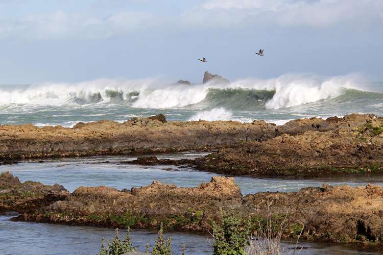 354 The Esplanade Island Bay_16