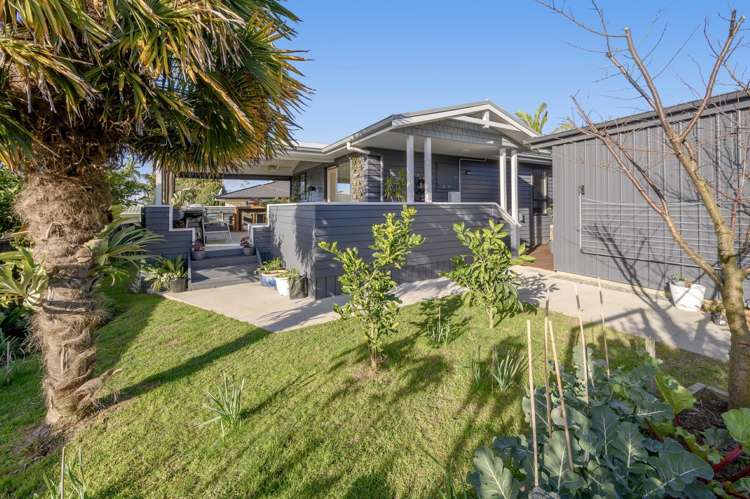 227A Waihi Road Judea_10