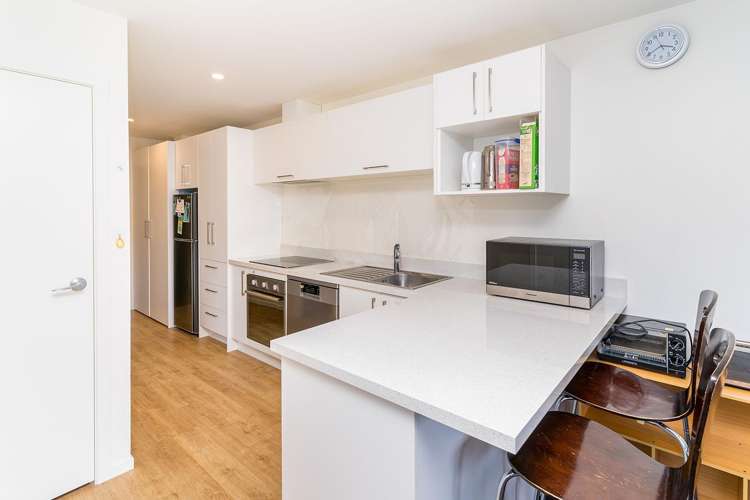 7/377 Leith Street North Dunedin_1