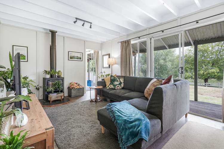 24 Ferguson Road Whatawhata_6