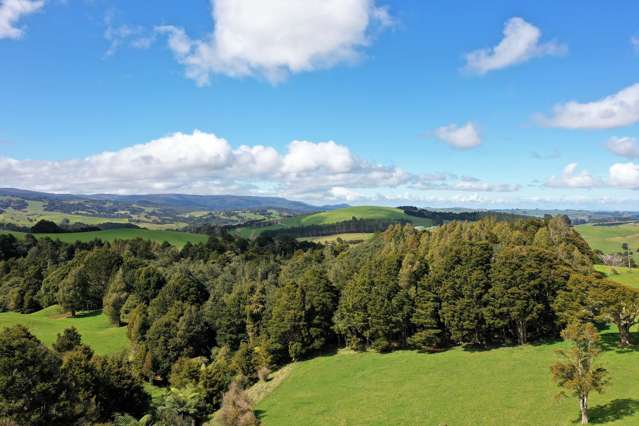 Lot 1 Katui Road Dargaville Surrounds_2