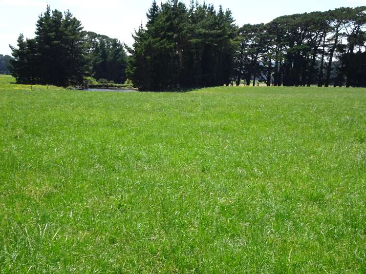 454 Parkville Road Eketahuna_12