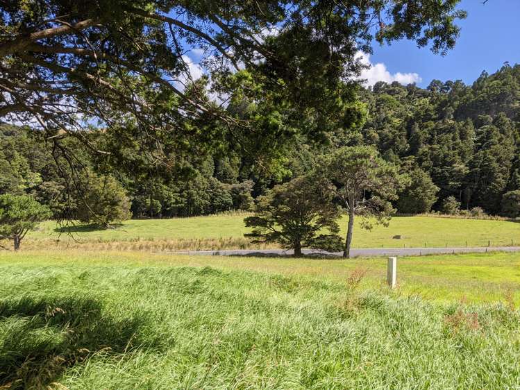 634 West Coast Road Makarau_12