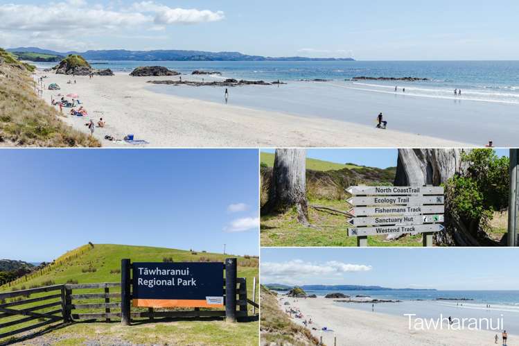 5 Kohuwai Way Warkworth_20