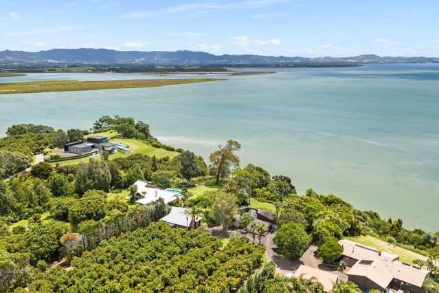 313 Pahoia Road Whakamarama_3