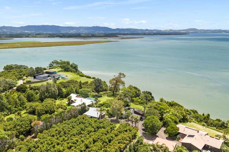 313 Pahoia Road Whakamarama_2