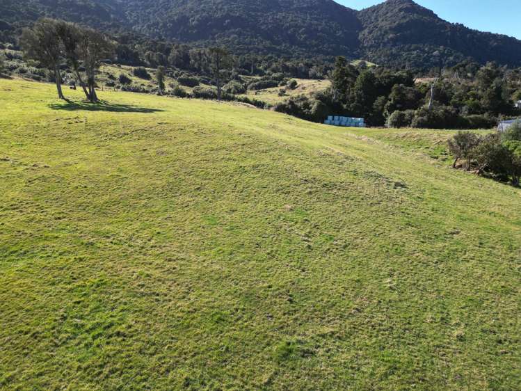 1612 Tahakopa Valley Road Catlins Surrounds_16