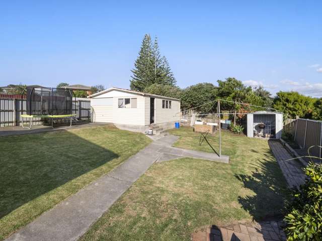 56 Webster Avenue Mount Roskill_2