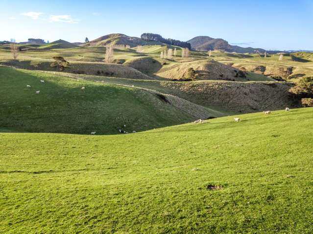 Lot Lots 1&2 Taihape Road Sherenden_3