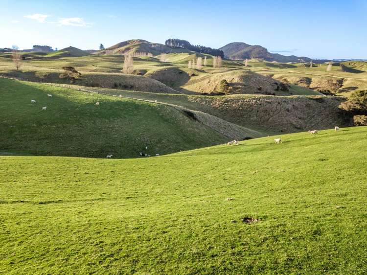 Lot Lots 1&2 Taihape Road Sherenden_3