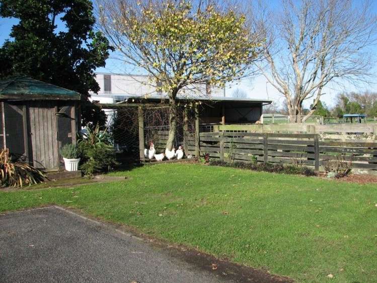 44 Racecourse Road Te Aroha_19