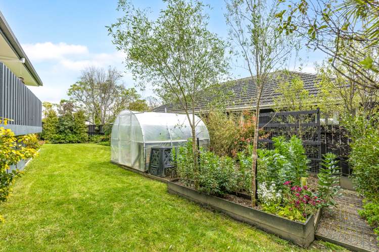 29 Campbell Drive Warkworth_14