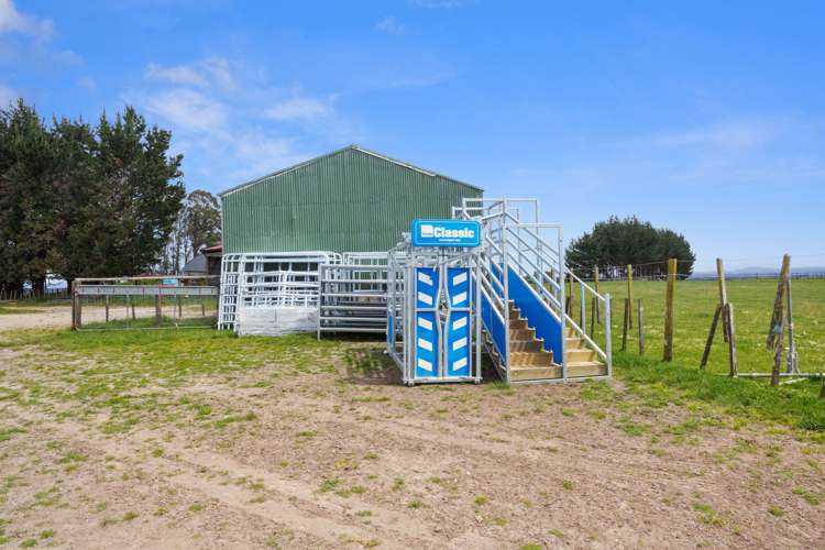 166 Airstrip Road Pikowai_9