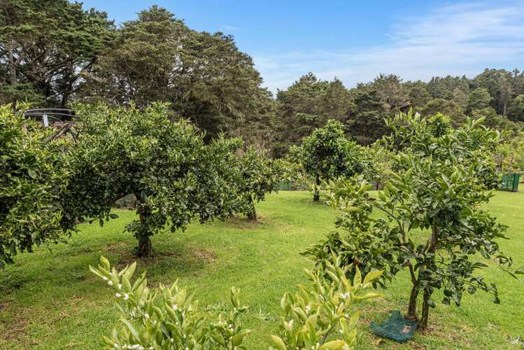 65 Main Road Kauri_21