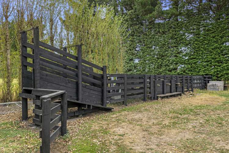 481 Halkett Road West Melton_42