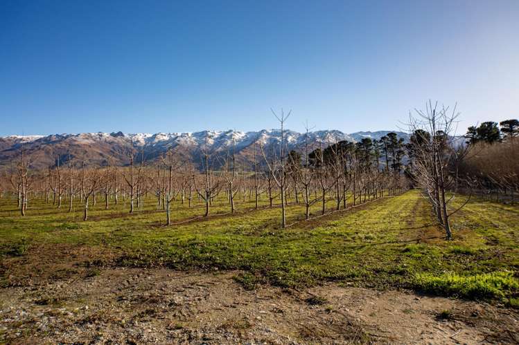 Lot 7 Smiths Way Cromwell_7