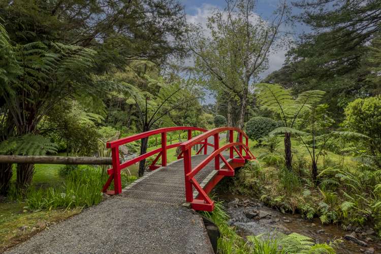 586 Tapu Coroglen Road Coromandel Forest Park_5