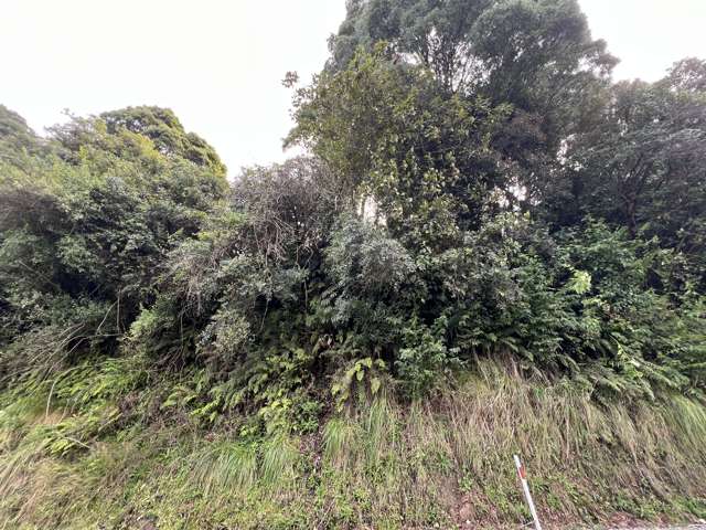 Lot . Omoto Valley Road Kaiata_1