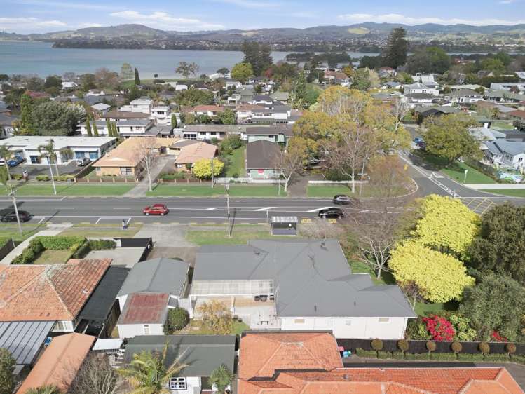 71 Fraser Street Tauranga South_14