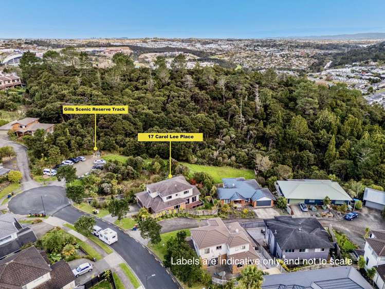 17 Carol Lee Place Albany Heights_33