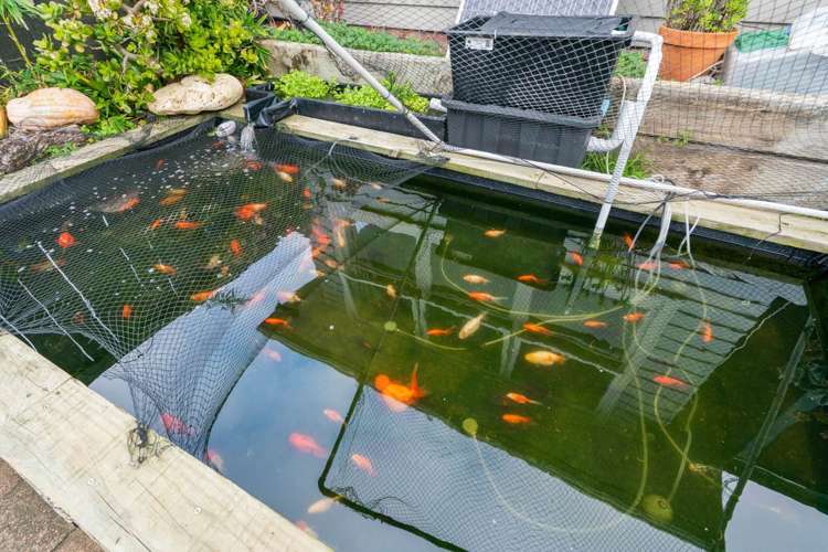 9 Andrew Road Howick_20