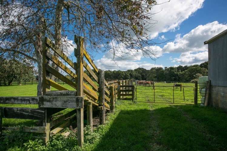 333 Kuranui Road Morrinsville_11