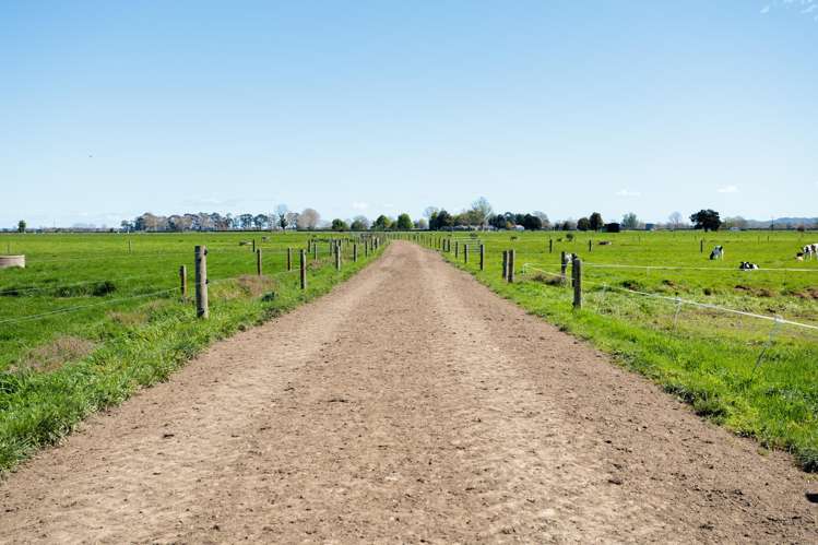 64 No 4 Road Morrinsville_21