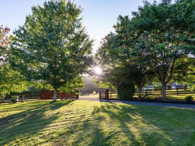 14 Morepork Lane Ngaruawahia_4