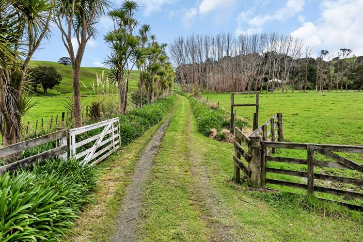 199 Avoca Road Dargaville_4