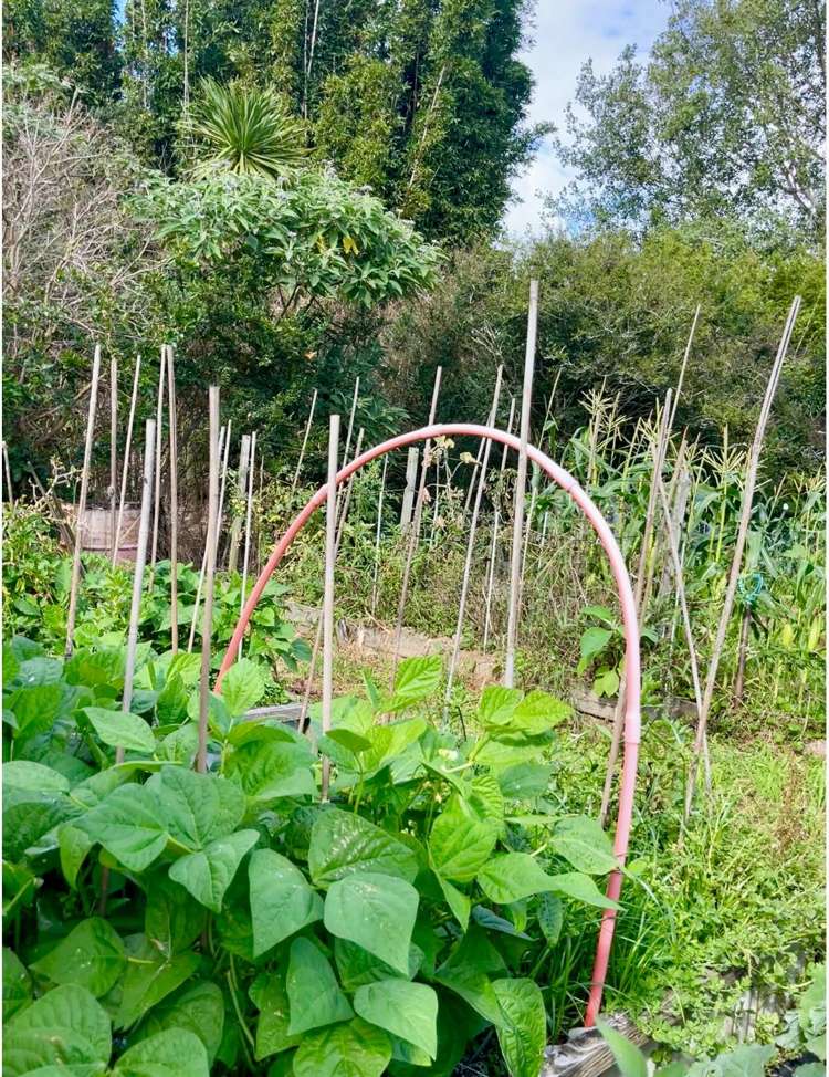 74 Grigg Street Kaitaia_23