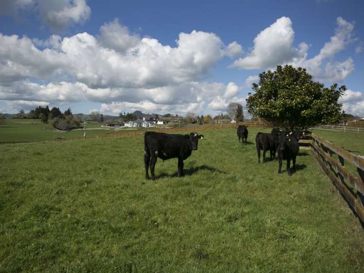 1183c Victoria Road Tauwhare_4