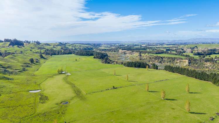 1139 Blackburn Road Ongaonga_24