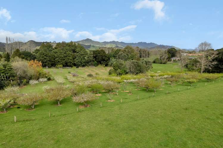 159 Tangihua Road Maungakaramea_37