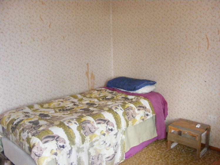 3 Bullians Avenue Taumarunui_12