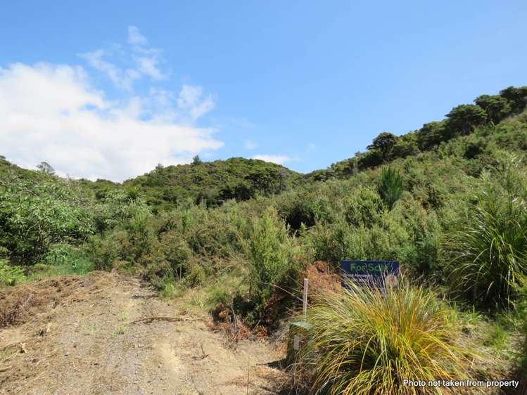 Lot 6 Whangaruru North Road Whangaruru Whangārei Houses for Sale One Roof
