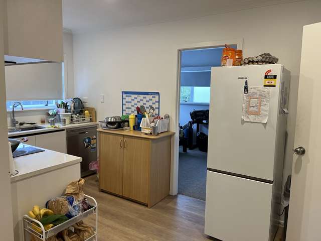 2/513 Manukau Rd Epsom_4